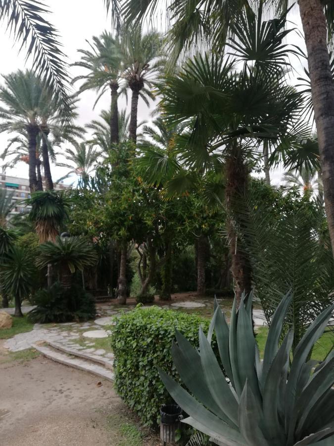 Penthouse Op Toplocatie Orihuela Exterior foto